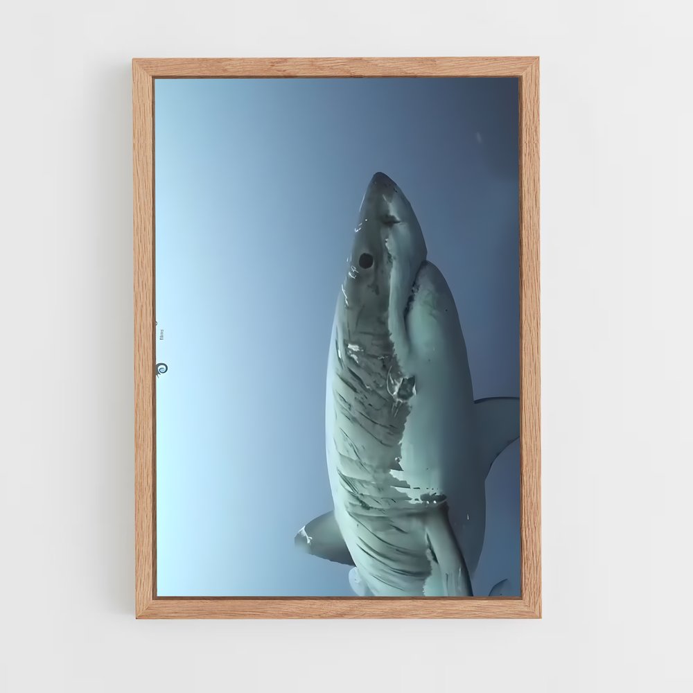 Poster Les Profondeurs Sauvages – affiche Plongée sous-marine (vue 4)